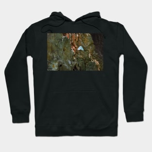 Moth Hoodie